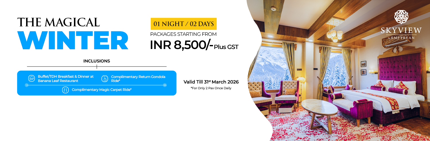 Winter Stay Package at Skyview