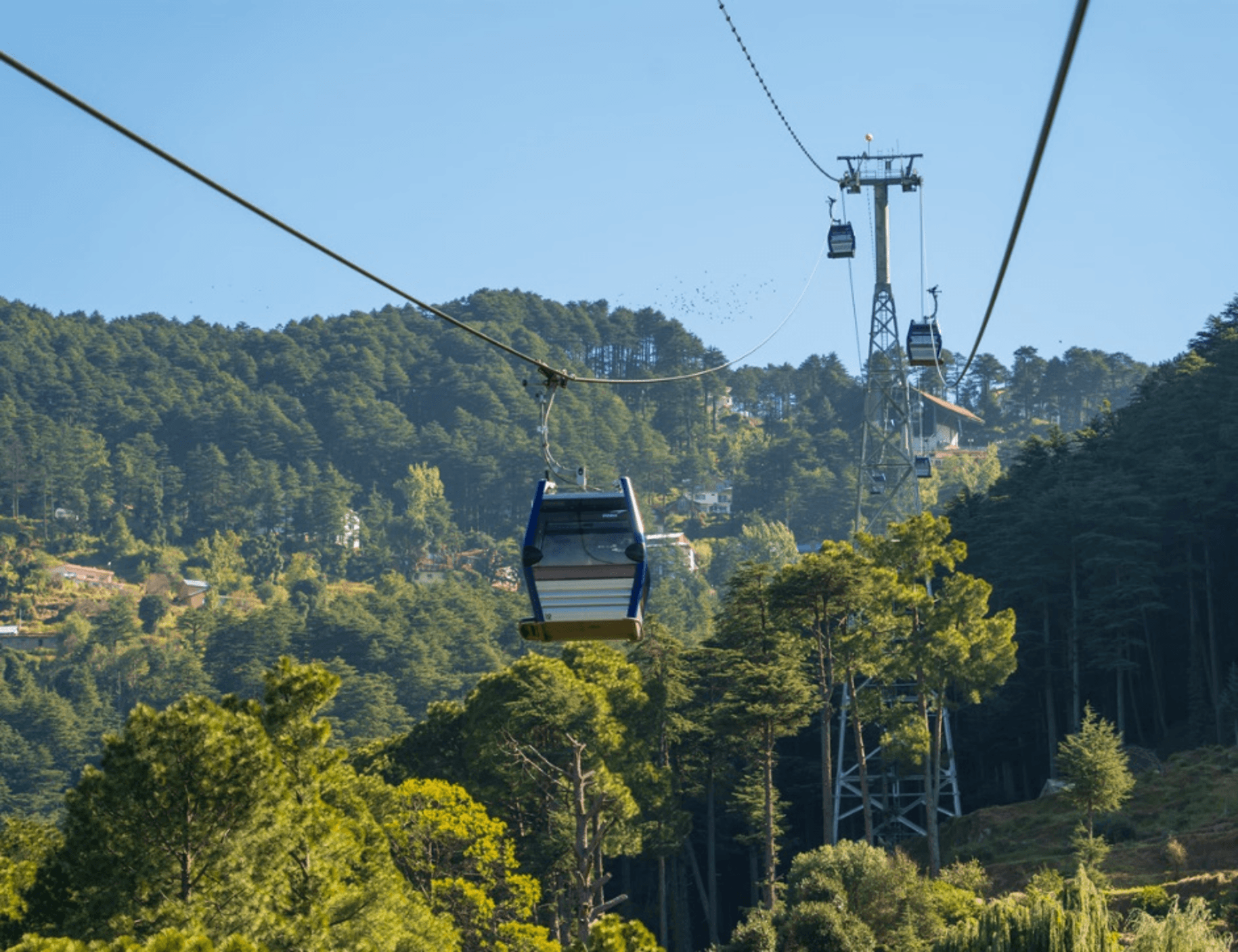 summer-at-skyview